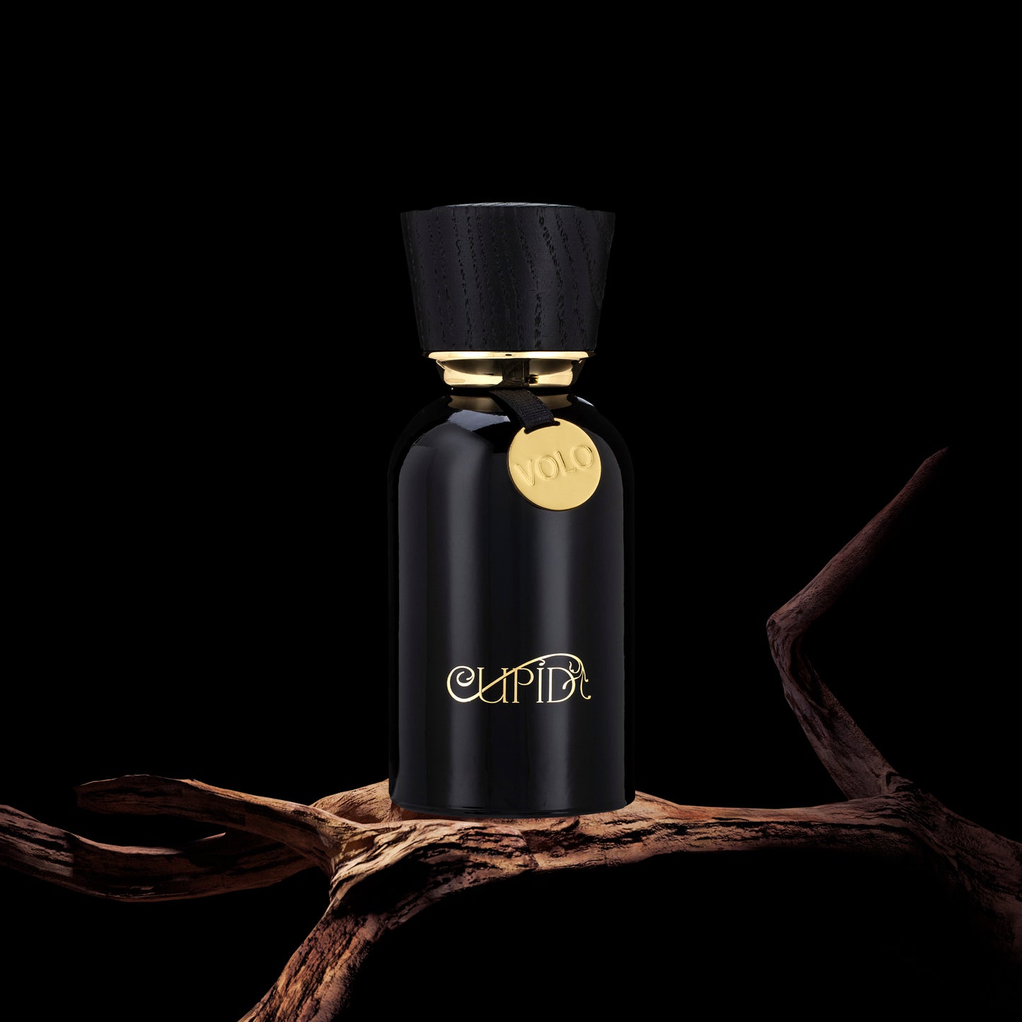Cupid Volo